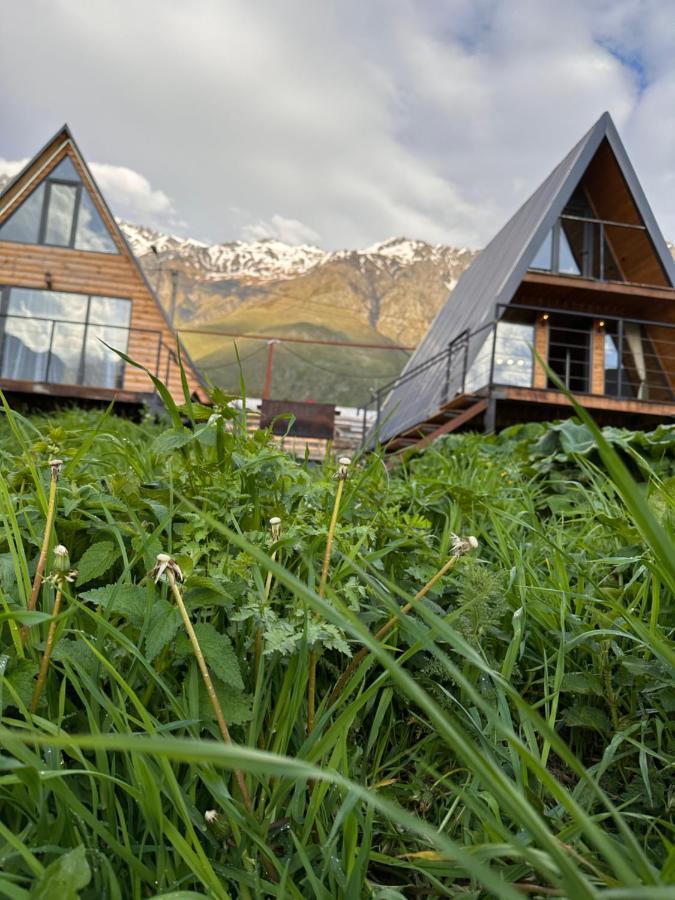 Alagi Cottage Kazbegi المظهر الخارجي الصورة